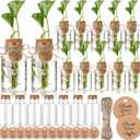 Baderke 24 Pack 4.84'' Plastic Plant Propagation Stations with Hole Lid Planter Vase Clear Propagation Jars with Thank You Tags for Plant Lover Gifts for Women Office Home Garden