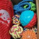 KIPRITII 25 Pack Dog Toys Set  Ideal for Teething, Entertainment & Interactive Play, Includes Puppy Toys, Rope Toys, Treat Balls and Squeaky Dog Toys