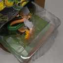 Resin Shenron Figure Statue Decoration Action Figure Set 15cm Shenlong 3.5cm Balls and Acrylic Stand for Gifts Home Decor