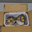 HECASA LED Fog Lights Pair Compatible with 2012-2023 Toyota Tacoma & 10-22 4Runner & 14-22 Tundra Fog Lamps (Left&Right)