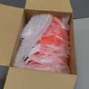 12 Pcs Christmas Plastic Buckets with Handle 4.69 x 3.78 x 4.8 Inch Christmas Snowflake Buckets Small Red Candy Pails Gifts Toy Baskets for Winter Holiday Party Decorations