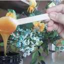 Gmark 100 ct Wooden Spoons, 6.5" Length, No Plastic Earth-Friendly, Disposable Biodegradable Wooden Cutlery, Green Product (Bag of 100pcs) GM1045