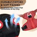 SlowTon No Pull Dog Harness, Heavy Duty No Choke Pet Harness with 2 Leash Clips and Easy Control Vertical Handle, Adjustable Soft Padded Dog Vest for Small, Medium and Large Dogs (Red, Large)