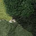 3x5 Feet 3D Moss Rug,Shag Carpet Tropical Area Rugs Non Slip Turf Rug Indoor Bath Mat.Ultra Soft Washable Kids Play Mat Plant Floor Mat for Bedroom,Living Room Green 3x5 ft (35"60", Lake)