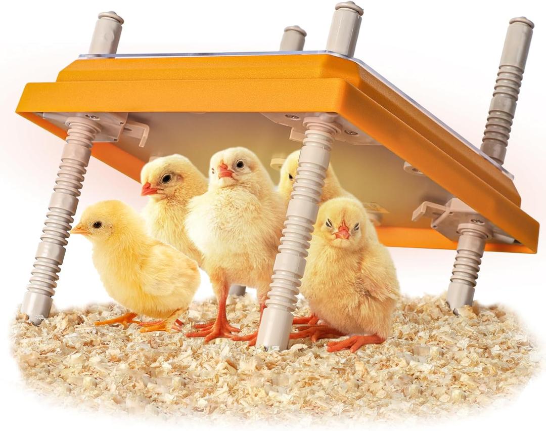Brooder Heater for Chicks, 10" x 10" for 15 Chicks Heating Plate with Adjustable Height and Angle 15W Chicken Brooder Warm Like Mother Hen (1Pack)