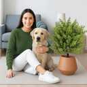 Artificial Boxwood Topiary Ball Trees with Ground Spikes UV Resistant Faux Greenery Shrubs Fake Shrubs for Outdoors, Realistic Faux Plants Bushes for Garden Porch Yard Patio Decor (Cedar Green)