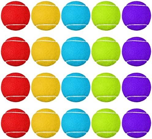Pack of 20 Tennis Balls for Dogs 2.5 Inch PET Dog Ball for Large, Medium and Small Dogs Colored Interactive Puppy Tennis Doggy Toy with Bag Training Play Exercise, 5 Colors