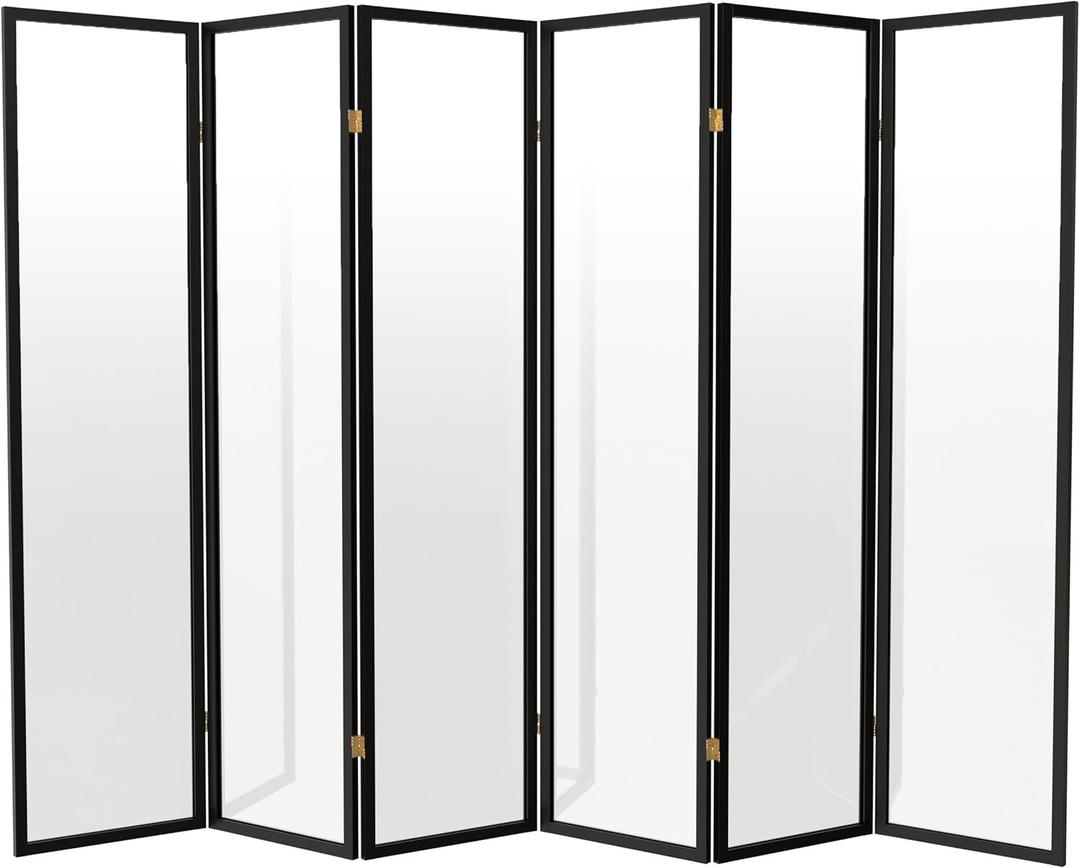 Red Lantern 6 ft. Tall Clear Plastic Partition Black 6 Panel