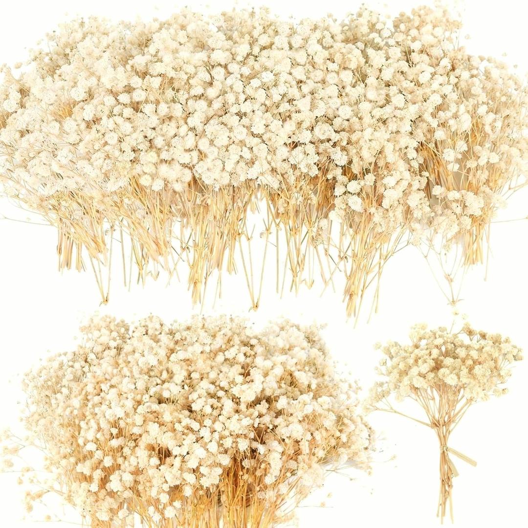 Mini Dried Babys Breath Flowers, Ivory White Baby Breath Flower Bulk, Dried Flowers for Crafts, Wedding Decor Boho Invitation, Resin Candle Making, Dry Babies Flowers, Rustic Gypsophila