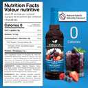 Syruvia Sugar Free Mix Berry Syrup, Naturally Flavored Syrup for Drinks, Lemonades, Iced Teas, and Desserts 25.4 fl oz