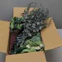 Giegxin 270 Pcs 3 Kinds Mixed Eucalyptus Leaves Stems Bulk Artificial Silver Dollar Leaves Picks Dried Eucalyptus Bundle Faux Spray for Wedding Vase Bouquet Floral Arrangement (Green)