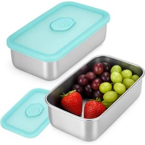 2 Pack Stainless Steel Snack Containers  Leakproof Reusable Bento Boxes with Lids for Food Storage, Travel, Work, Outdoor (Clear Lid/Silver Base, 1 Compartment)
