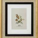 8x10 Picture Frame, Antique Nature, Black and Linen Trim, Pine Wood with Real Glass, Matted to 5x7, Vertical and Horizontal for Tabletop or Wall Hanging Display Photo Frame