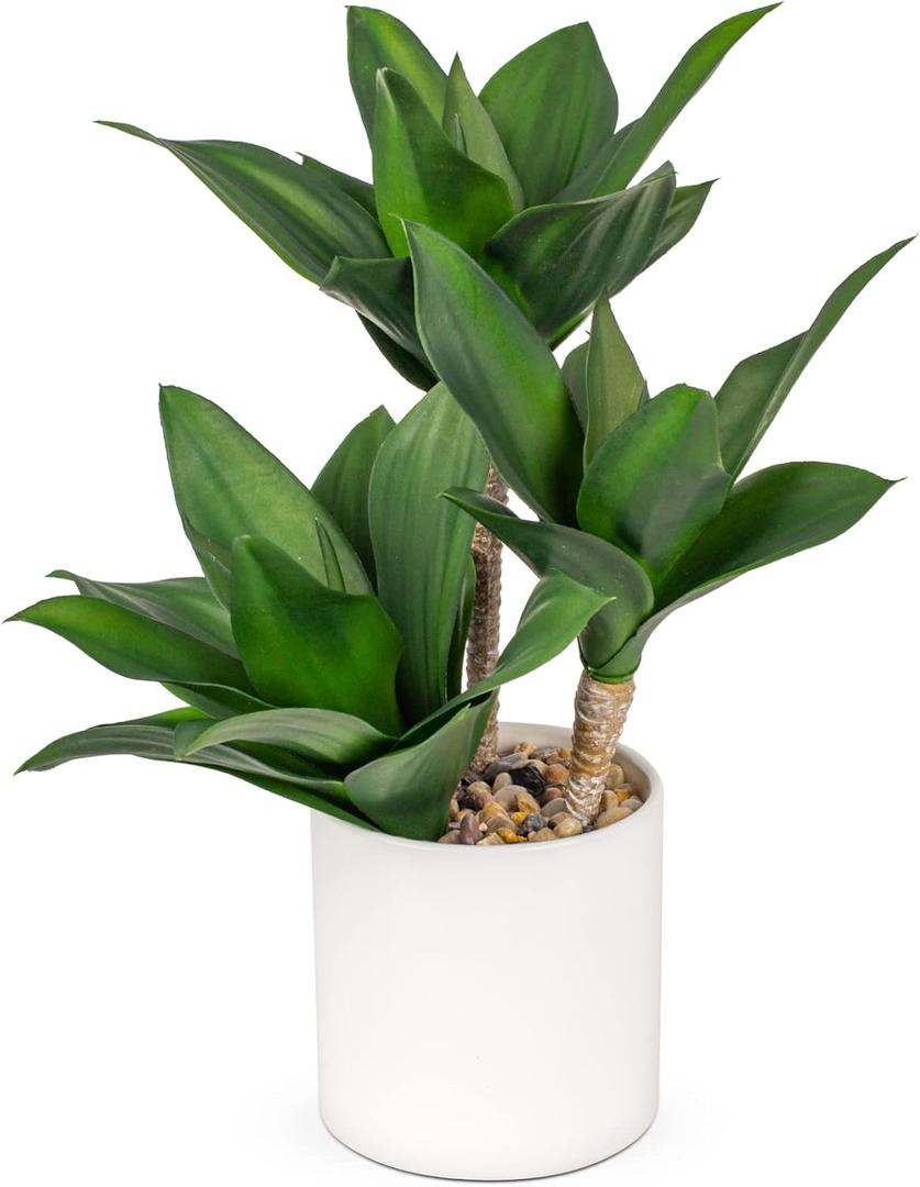 Hollyone Large Artificial Agave Plants Fake Three-Head Agave Succulent Plant Potted 15" Faux Plant in White Pot Succulent Aloe Plant Indoor for Desk Modern Home Decor (Style 2)