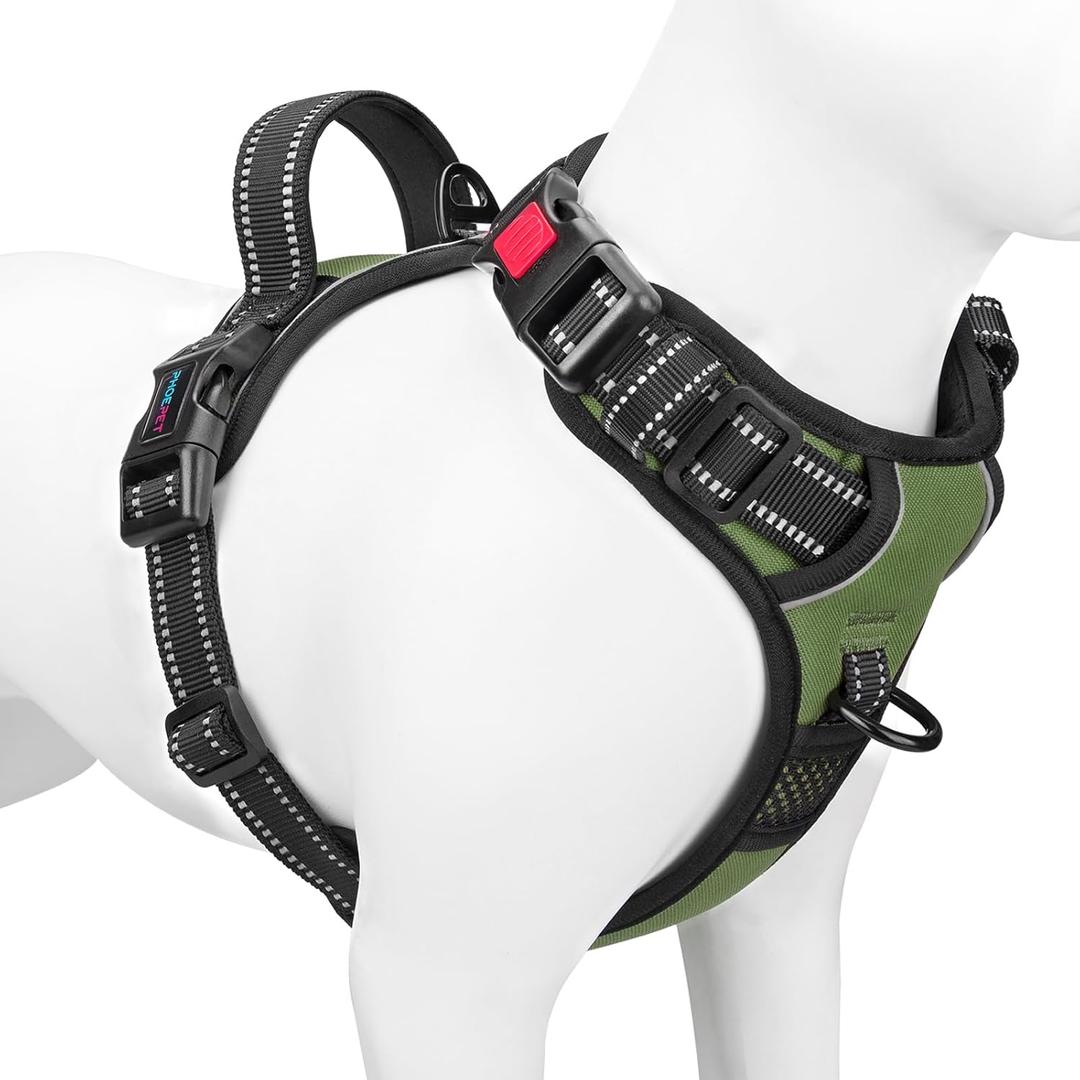 PHOEPET No Pull Dog Harness with Handle Front & Back Clip, Easy on Lockable Snap Buckle at Neck, Adjustable Reflective Vest with Handle for Dogs (M, Misty Green)