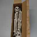 JOYIN 2PCS 16" Halloween Skeleton Decor, Full Body Stayable Movable Joints, Posable Hanging Skeletons for Halloween Decoration, Yard, Graveyard, Haunted House Props, Spooky Scene Party Favor