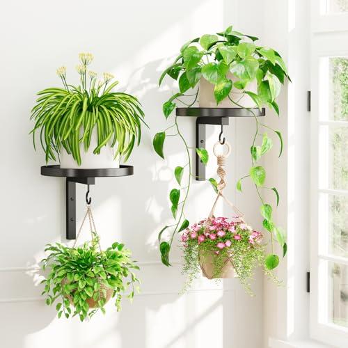 iDavosic.ly Wall Plant Holder Set of 2 for Indoor Outdoor, Metal Hanger with 2 Hooks, Floating Flower Display Stand for Window, Space Saving & Easy to Assemble (Pots/Chains/Plants Not Included), Black