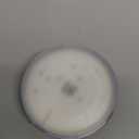 12000mAh 5000LM Camping Lights 3 Color Lighting Modes Bright Rechargeable LED Lamp 40W Hanging Tent Lights IPX5 Waterproof,Magnet,Power Failure Emergency Survival Kits & Christmas Day Gift