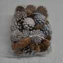 Fangoo 40Pcs Natural Christmas Gold Silver Pine Cones Bulk Snow Spruce PineCones Ornaments for Christmas Tree Autumn Winter DIY Wreaths Crafts Decorating Xmas Thanksgiving Fall Decor Bowl Fillers