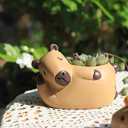 Capybara Resin Succulent Planter Set of 2 - Mini Garden Decor with Drainage Holes (4.1"x2.75", for Plant Lovers)