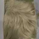 YYHR Mens Blonde Wig Short Straight Natural Fluffy Layered Synthetic Hair Wigs for Men Guy Daily Wear Anime Costume Halloween Cosplay Party