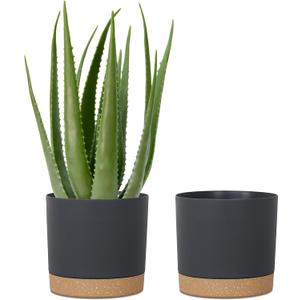kubvici Plant Pots for Indoor Plants, 2 Pack 10 Inch Plant Pot Plastic Flower Pots Planters with Drainage Saucer for Indoor Outdoor Garden Home (10" Black)