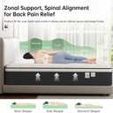 Twin Mattress, 12 Inch Hybrid Memory Foam Mattress in a Box, Pressure Relief for Back Support, Medium Firm, Individually Pocket Springs, 100-Night Trial & CertiPUR-US Certified, Twin Size, White