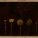 Moody Dandelion Wall Art, Dark Academia Floral Wall Decor Painting Vintage Botanical Flower Poster Canvas Prints Picture for Living Room Bedroom Farmhouse 16x24 inch Wood Framed