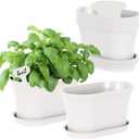 Windowsill Garden Pots, White Plastic Flower Pots with Drainage Tray for Herb, Succulents, African Violet (Pack of 6)