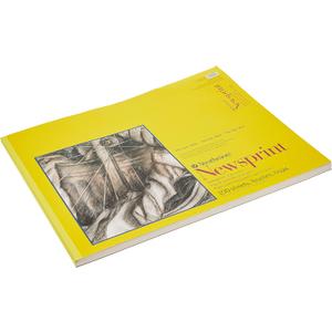 Strathmore 200 Series Tape Bound Newsprint Pad, 30 lb. Rough Paper, 18 X 24 inches, 100 Sheets (307-918)