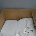 Down Feathers Pillows Standard Size Set of 2- Hotel Collection Bed Pillows | Feather-Proof 1000+ Clean | Naturally Resilient Pure | Pillows for Side, Back & Stomach Sleepers, 20"x26" 2 Pack