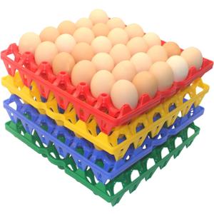 8 Packs Large Plastic Egg Tray 30-Grid Egg Crates Stackable Egg Cartons Reusable Egg Holder Big Egg Container for Home Chicken Farmers