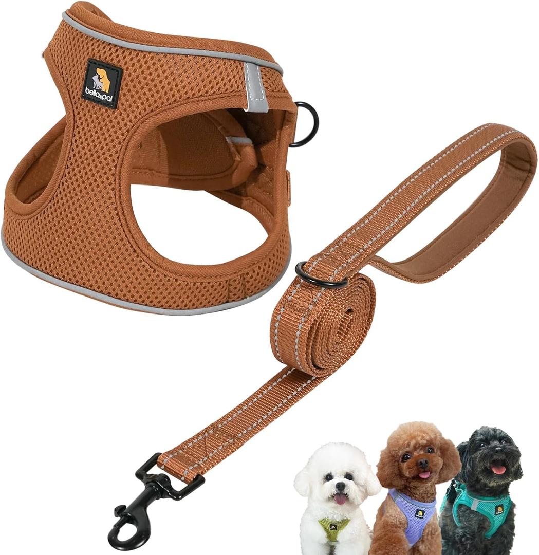 BELLA & PAL Step in Vest Harness for Dogs, No Pull Puppy Harness with Leash Set, Comfortable Air Mesh Dogs Vest Harness with Reflective Strip (Mokka, XS)