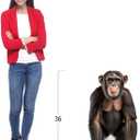 Chimpanzee - Life Size Cardboard Cutout Standup People with Support Standee | Animals -
