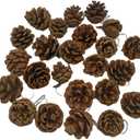 24 Pieces Christmas Pine Cones Ornament Natural Pine Cones with String Pendant Crafts for Gift Tag Christmas Tree Party Hanging Decoration Home Decorations