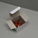 Cap and Rotor Kit D604604 73554001942 Compatible with Volkswagen Cast Distributor 4 Cylinder Engines