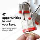 Lion Locks 24 Keyed Alike Padlocks with 2" Long Shackle, 48 Keys - Padlocks for Outdoor Use, Locks with Keys, Hardened Steel Case, Pick Resistant Brass Pin Cylinder for Hasp Latch, Locker, Gate
