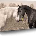 Ranch Horse Canvas Wall Art: Black and White Equines Friendly Painting Lovely Wild Animal Head Prints Country Wildlife Portrait Picture Modern Horizontal Steeds Artwork for Bedroom Office, 24"L x 16"W
