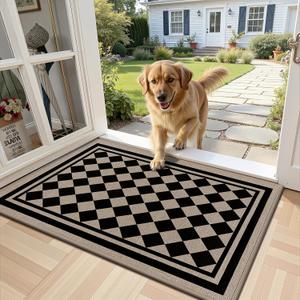 Vaukki Indoor Door Mat 24"x36", Ultra Thin Doormat Indoor Entrance