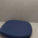 Carex Upeasy Seat Assist Plus - Chair Lift And Sofa Stand Assist - Portable Lifting Seat For Persons 200 Pounds to 340 Pounds, Provides 70% Assistance