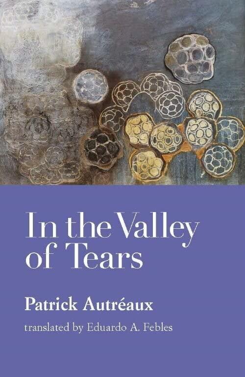 In the Valley of Tears (Paperback)