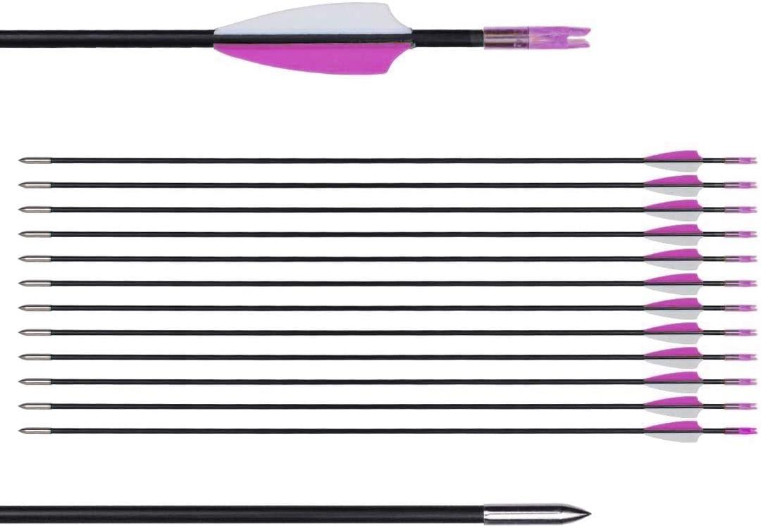 LWANO 31" Training Arrows-Archery Practice Target Arrows for Kids Youth or Beginners with Durable Shaft on Recurve Bow Compound Bow and Longbow (Purple)