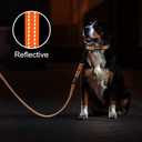 azuza Durable Padded Dog Leash and Collar Set,Reflective Strip Extra Safe and Comfy for Large Dogs, Orange