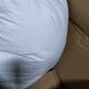 puredown Goose Feathers and Down White Pillows with 100% Cotton Cover, Bed Sleeping Hotel Collection Pillows Set of 2, Standard Size