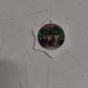 3dRose Snowflake Ornament - Capybara, Youngsters Along The Edge - 3-inches (ORN_330570_1)