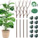 4 Pack 27.56" Detachable Twig Plant Support Stakes Set, Blends in to Plant, Branch Plant Sticks with Orchid Clips Twist Plant Ties, Twig Trellis for Indoor Outdoor Plants Potted Plants Flower (27.56" - 4 Pack, Brown)