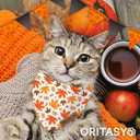 Fall Thanksgiving Dog Bandanas for All Dogs (2-Pack Triangle Reversible Pet Scarves) (Autumn Pumpkin Maple Leaves) Premium Fabric Holidays Bandana, X-Large Q