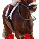 5pcs Cardboard People Horse and Jockey 150th Standee Life Size Cardboard Cutout Standup, 85 inches x 31