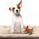 Cozy Dog Bed & Crate Pad, Medium Sized Dogs, Fit Metal Crates, Ultra Soft, Washable & Anti-Slip, Cream, 30inch