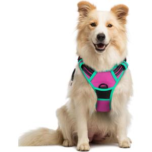 rabbitgoo Dog Harness No Pull with 2 Leash Clips, Adjustable Soft Padded, Reflective Oxford No Choke Pet Vest with Easy Control Handle for Large Dogs, Hot Pink & Turquoise, M